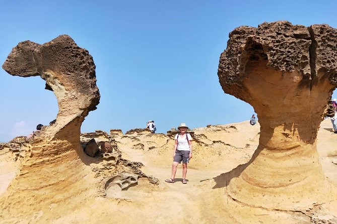 Half Day Private Tour to Yangmingshan National Park and Yehliu Geopark - Good To Know