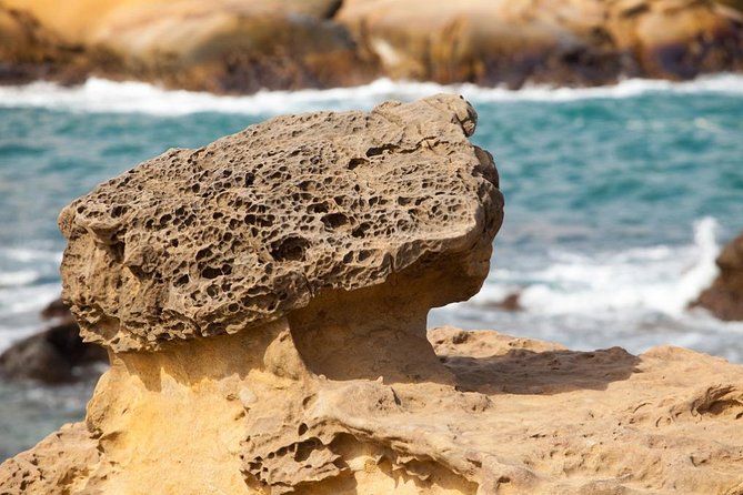 Half Day Private Tour to Yangmingshan National Park and Yehliu Geopark - Suitability and Accessibility