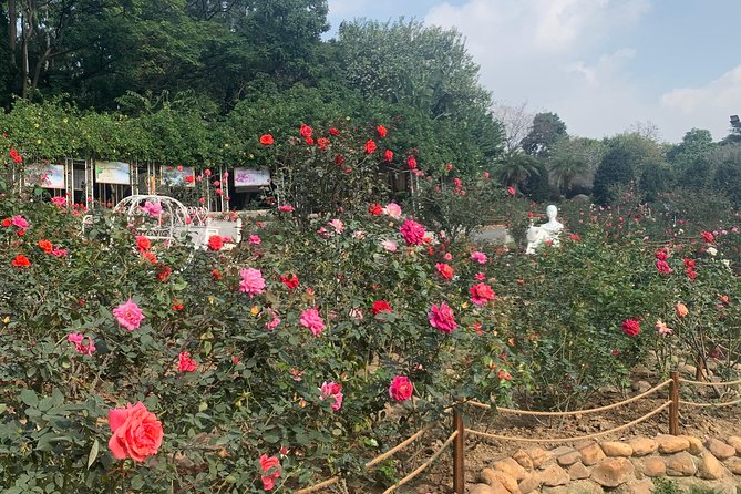 Half Day Private Tour to Yuntai Garden and Baiyun Mountain in Guangzhou - Tour Overview