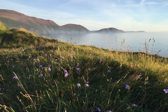 Half Day Private Tours of the Isle of Man With a Qualified Driver Guide - Historical Context