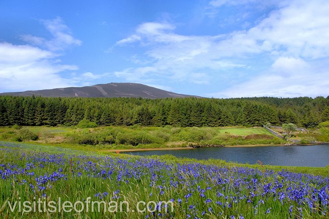 Half Day Private Tours of the Isle of Man With a Qualified Driver Guide - Customer Reviews