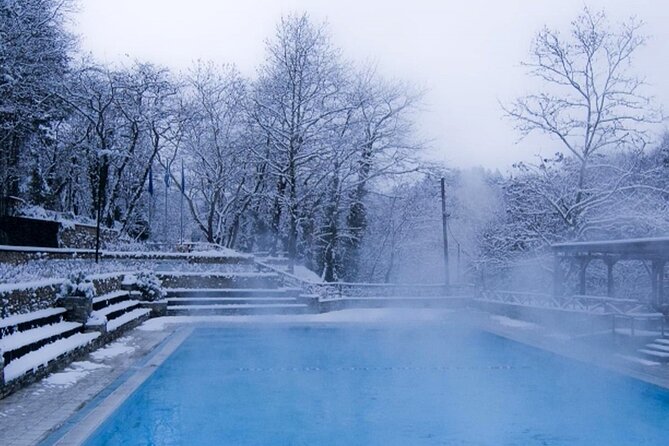 Half-Day Private Trip to Waterfalls and Hot Springs - Trip Overview