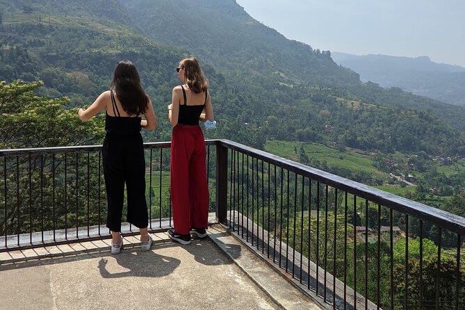 Half-Day Private Trip to Waterfalls and Tea Factory - Accessibility and Participation