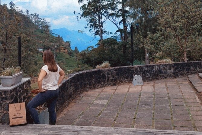 Half-Day Private Trip to Waterfalls and Tea Factory - Reviews and Feedback