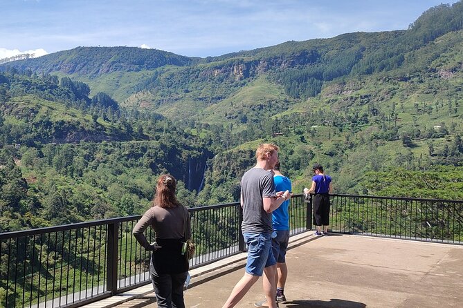 Half-Day Private Trip to Waterfalls and Tea Factory - Customizable Tour Experience