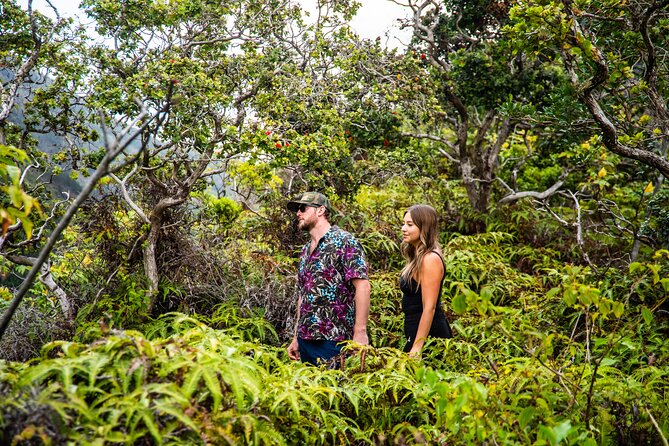Half Day Private VIP Road to Hana Tour - Customer Feedback and Reviews