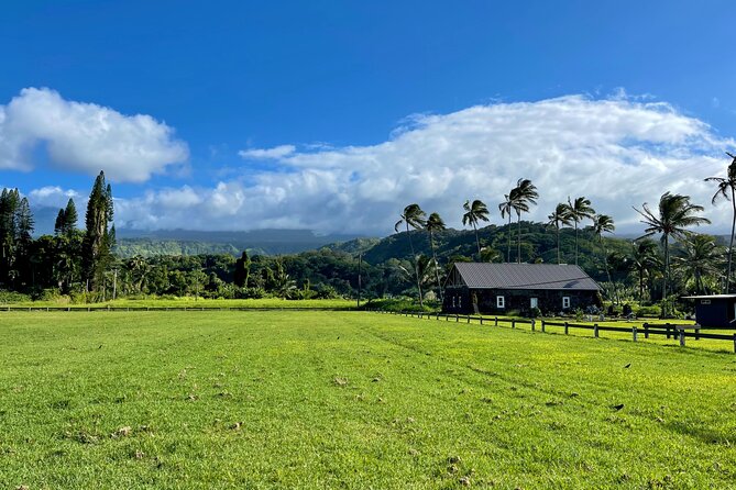 Half Day Private VIP Road to Hana Tour - Cancellation and Booking Policy