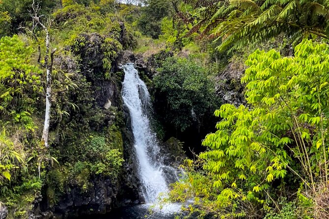 Half Day Private VIP Road to Hana Tour - Personalized Attention and Customization