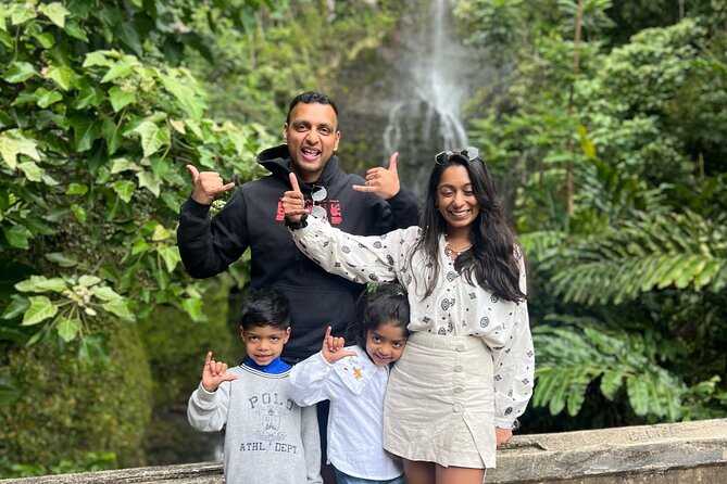 Half Day Private VIP Road to Hana Tour - Pricing