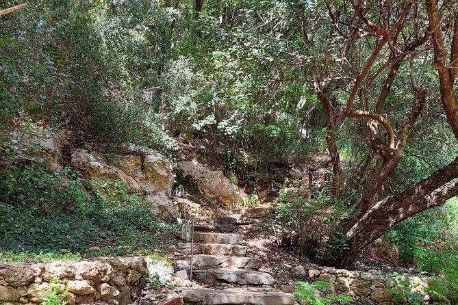 Half-Day Private Walking Tour Along the Orthodox Gorge - Experiencing the Orthodox Gorge