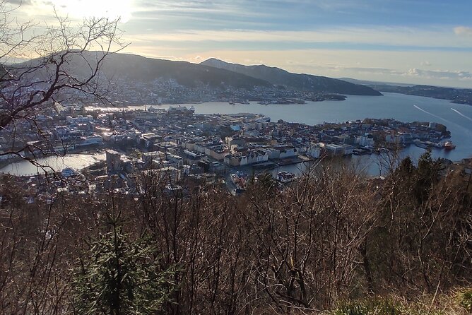 Half-Day Private Walking Tour in Bergen With Dinner and Funicular - Reviews and Feedback