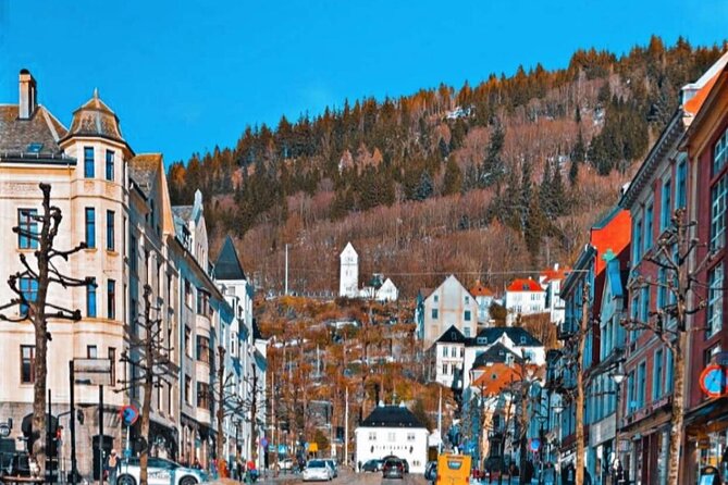 Half-Day Private Walking Tour in Bergen With Dinner and Funicular - Frequently Asked Questions