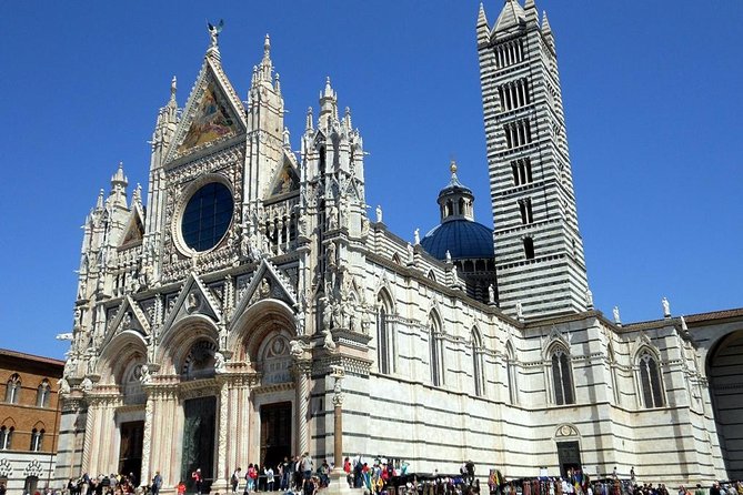 Half-day Private Walking Tour of Siena - Highlights of the Private Walking Tour