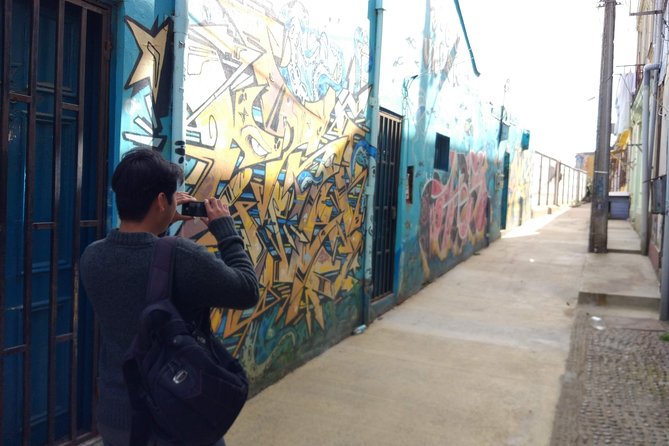 Half Day Private Walking Tour With a Native Guide & Public Transport - Inclusions