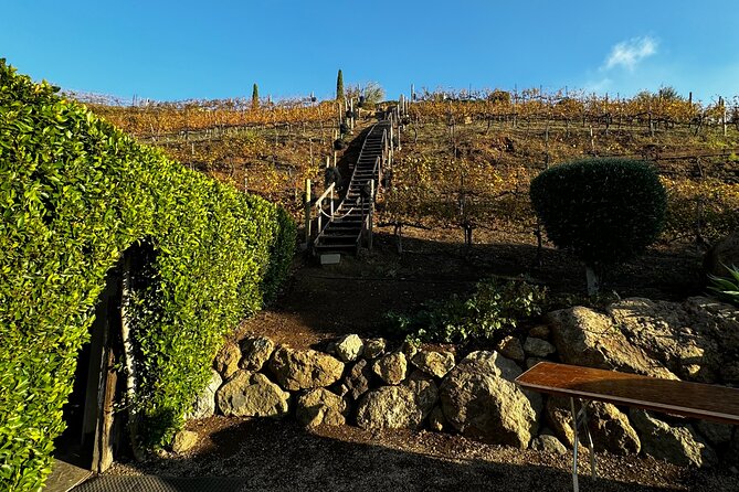 Half Day Private Wine Tasting Tour in Malibu - Malibu Wineries
