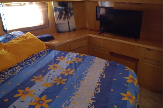 Half Day Private Yacht Cruise & Snorkel - Customer Ratings and Feedback