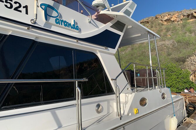 Half Day Private Yacht Cruise & Snorkel - Infant Accommodations