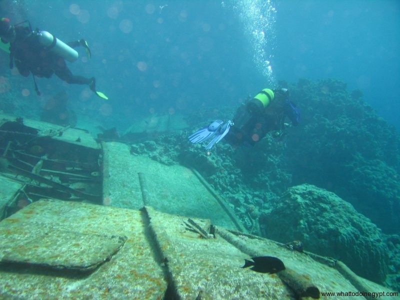 Half-Day: Professionals Diving in Open Water Tour With Lunch - Itinerary and Activities