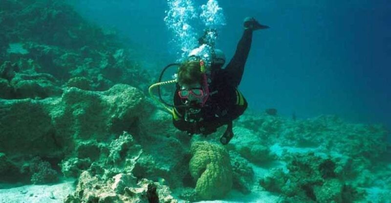Half-Day: Professionals Diving in Open Water Tour With Lunch - Inclusions and Exclusions