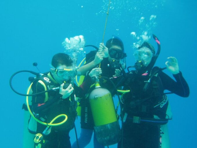 Half-Day: Professionals Diving in Open Water Tour With Lunch - Onboard Amenities and Refreshments