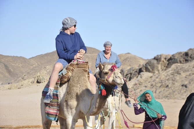 Half Day Quad Bike Adventure and Camel Ride in Beduion Camp - Health and Safety Guidelines