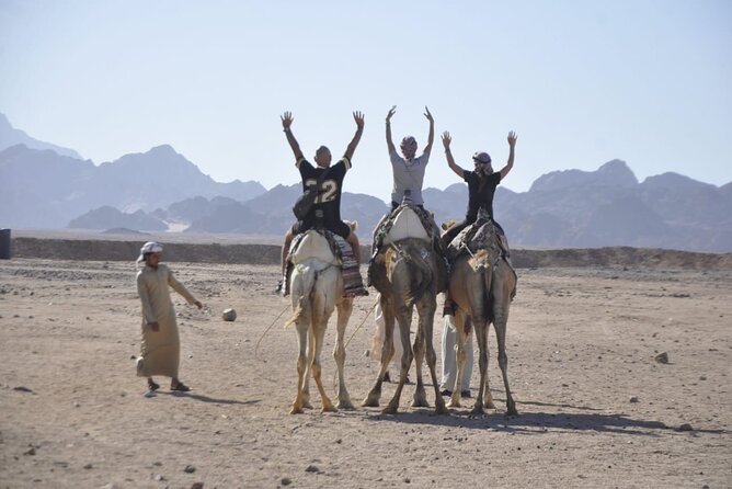 Half Day Quad Bike Adventure and Camel Ride in Beduion Camp - Booking Details