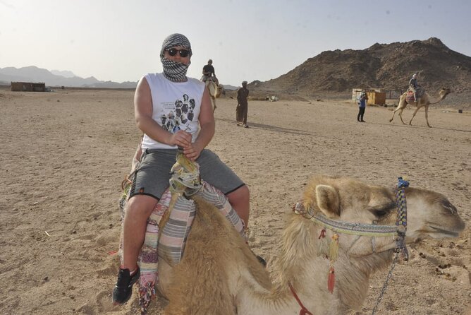 Half Day Quad Bike Adventure and Camel Ride in Beduion Camp - Tips for Travelers