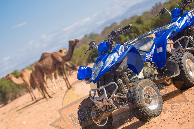 Half-Day QUAD in Agadir + Pick-Up Included From Agadir - Reviews
