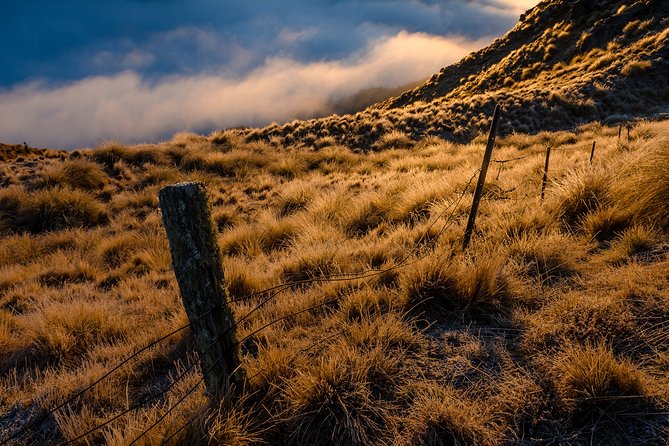 Half-Day Queenstown Photography Tour - Explore Queenstown