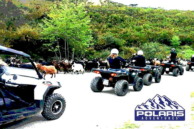 Half-Day Rethymno Quad Safari - Included Amenities