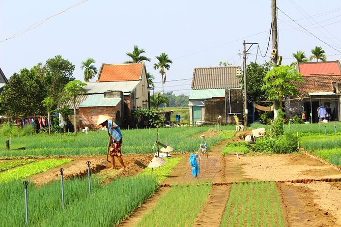 Half Day Ride Bike to the Farm and Cooking Activity With Foot Massage - Transportation and Pickup