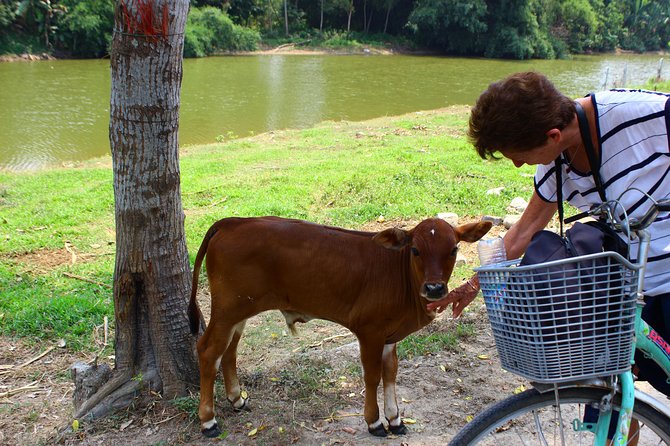 Half Day Ride Bike to the Farm and Cooking Activity With Foot Massage - Hands-on Farming and Cooking
