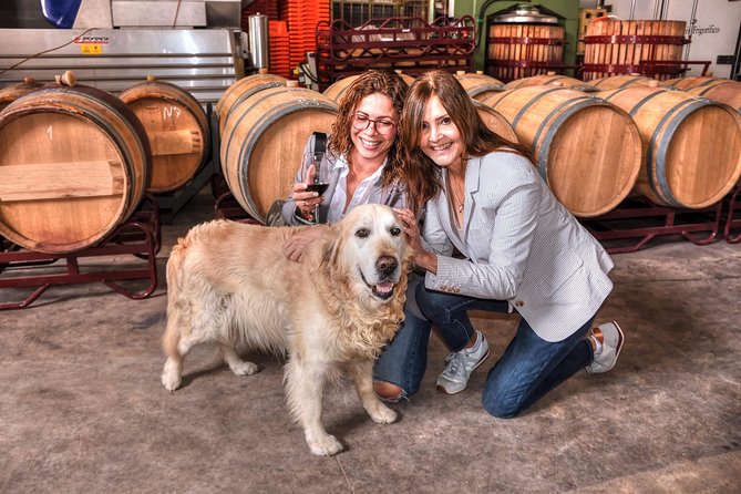 Half Day Rioja Wine Tour - Logistics and Inclusions