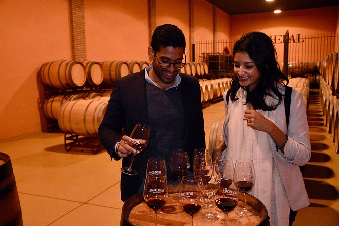 Half Day Rioja Wine Tour - Accessibility and Participation