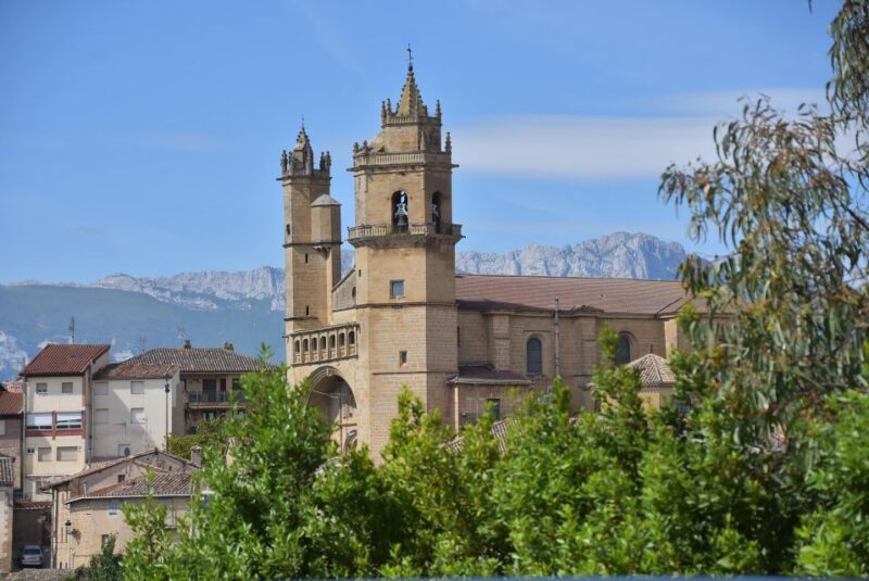 Half Day Rioja Wine Tour (from Rioja) - Exclusive and Non-exported Wines