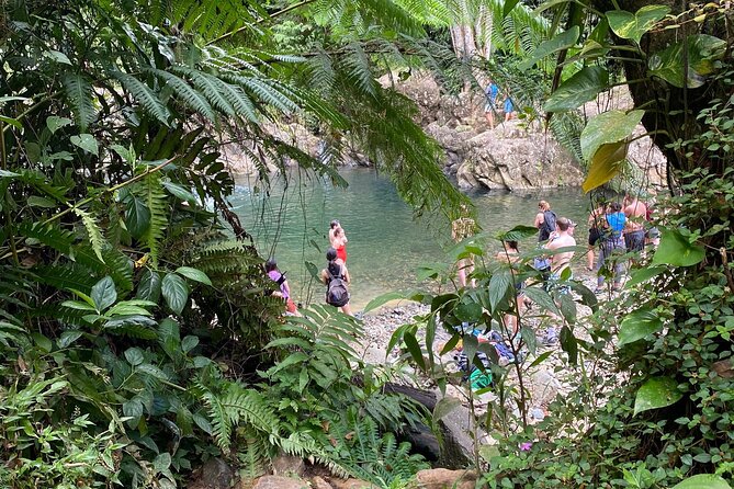 Half-Day River Adventure in El Yunque With a Local - Personalized Small Group Experience