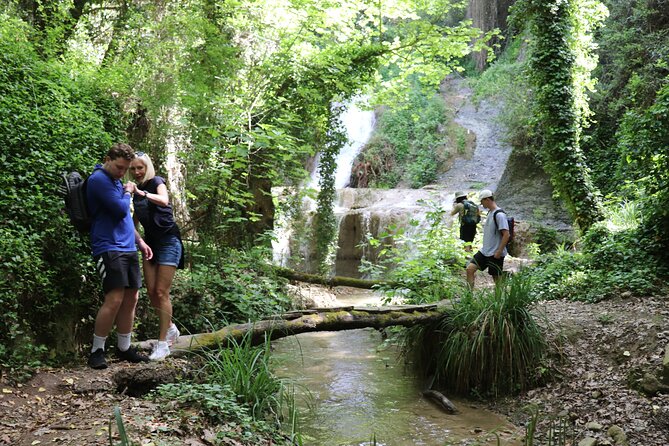 Half-Day River Trekking Stenosia From Kalamata - Tour Details