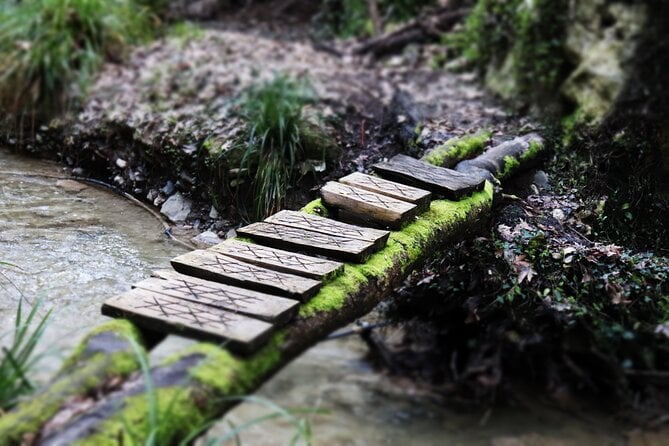 Half-Day River Trekking Stenosia From Kalamata - Trekking Highlights