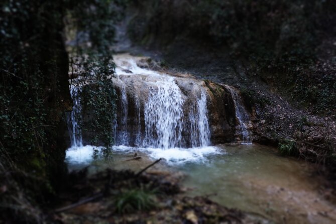 Half-Day River Trekking Stenosia From Kalamata - Traveler Experiences
