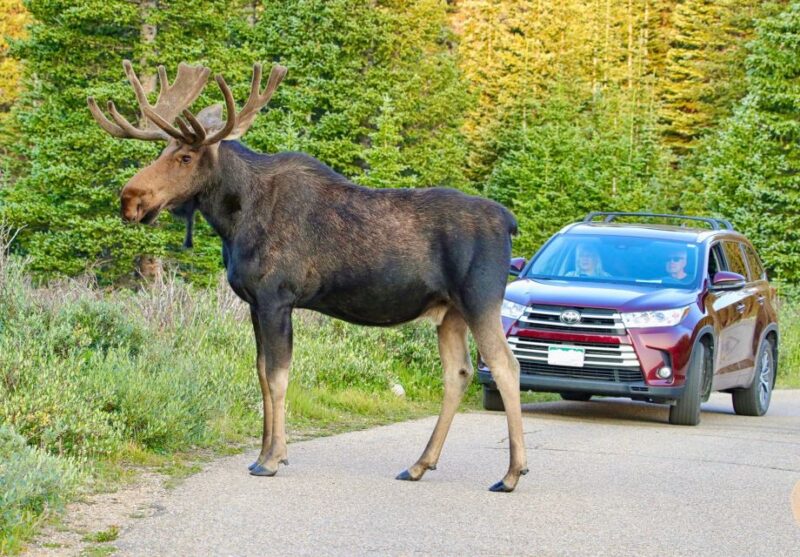 Half-Day RMNP Lakes and Meadows Tour-RMNPhotographer - Experience Highlights