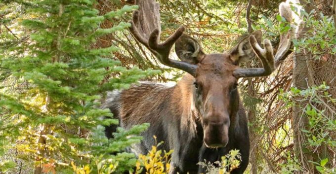 Half-Day RMNP Mountains to Sky Tour-RMNPhotographer - Frequently Asked Questions