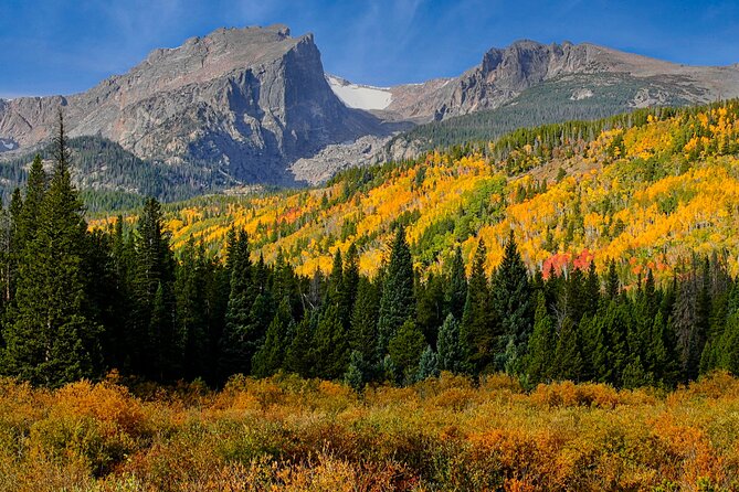 Half-Day Rocky Mountain National Park Mountains to Sky Tour - RMNPhotographer - Key Points
