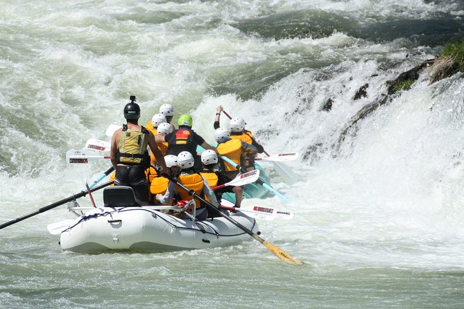 Half Day Rogue River White Water (Class I- IV) - Suitable for All Skill Levels