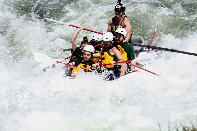 Half Day Rogue River White Water (Class I- IV) - Fun Wave Trains and Rapids