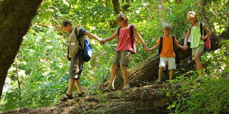 Half Day Safari From Durban - Reptile Park Tour
