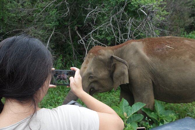 Half Day Safari Guided Tour - Bundala National Park