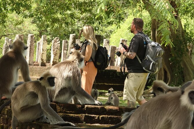 Half Day Safari Guided Tour - Pricing Information