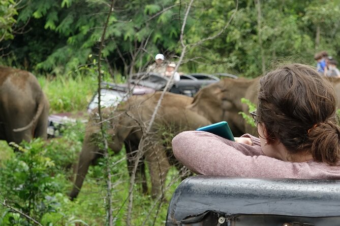 Half Day Safari Guided Tour - Meeting Details