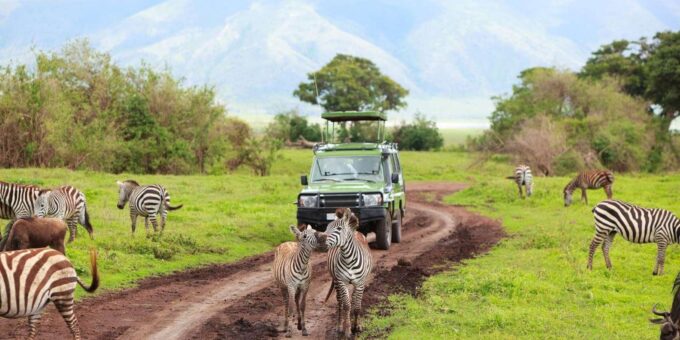 Half Day Safari Tala Game Reserve & Phezulu - Groups Only - Cancellation Policy