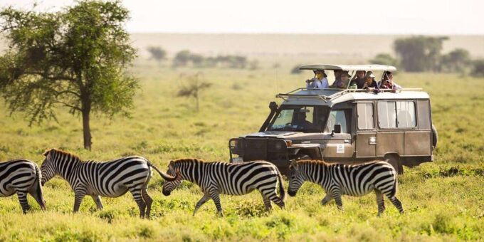Half Day Safari Tour From Durban - Cancellation Policy